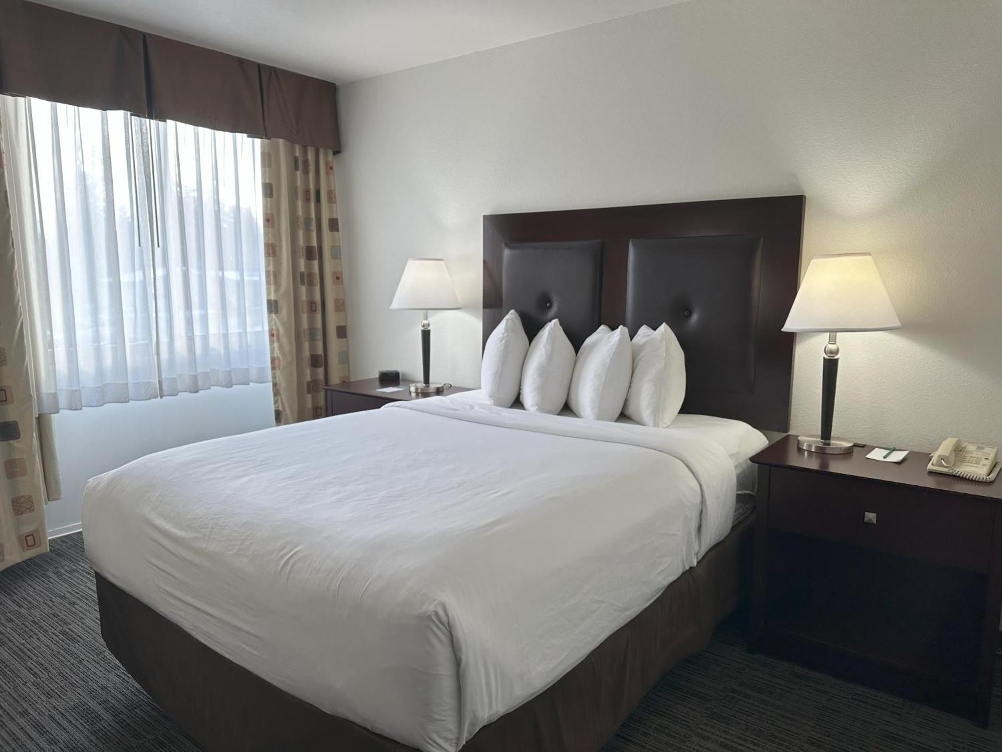 Quality Inn & Suites Everett Eksteriør billede