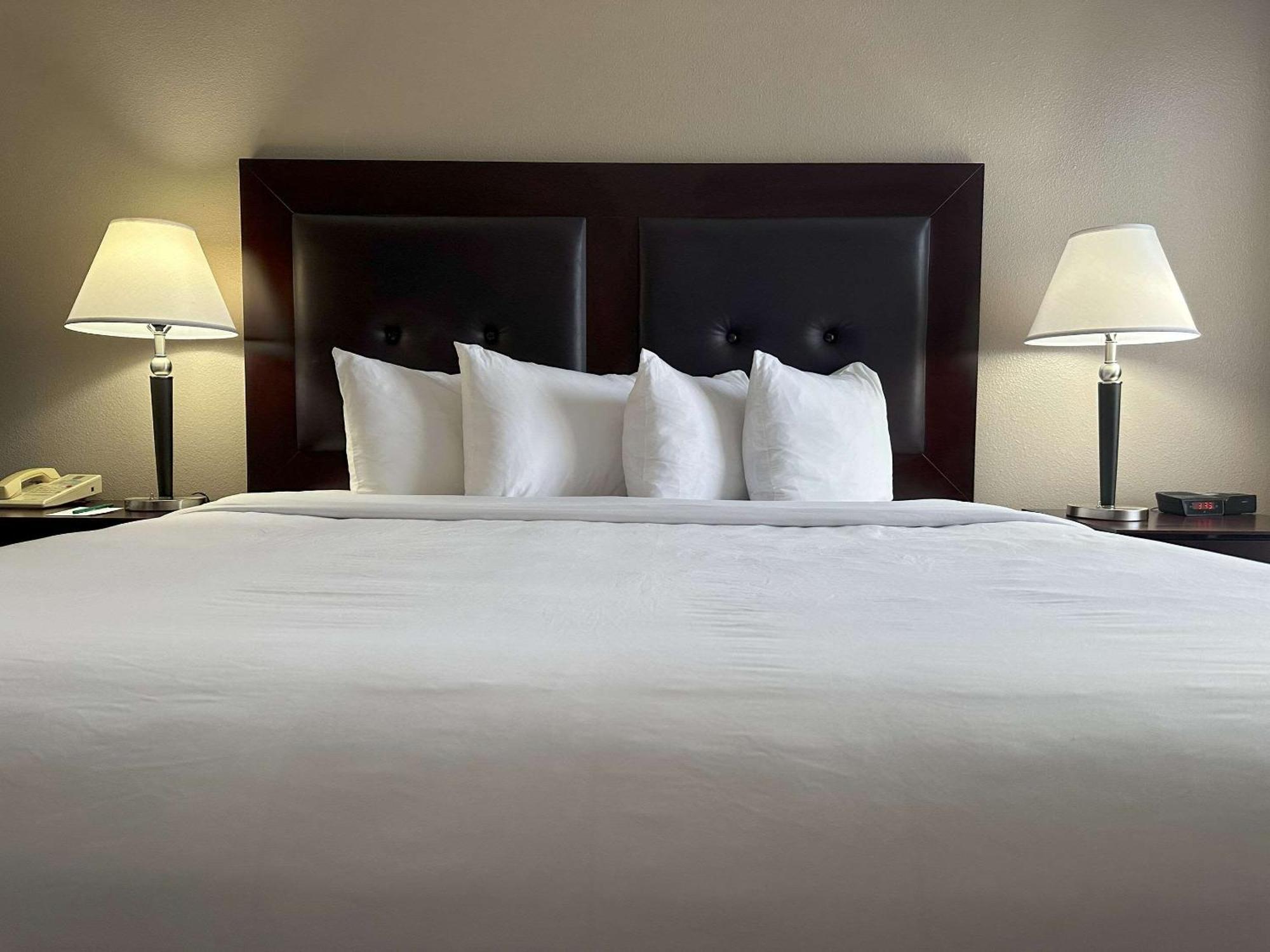 Quality Inn & Suites Everett Eksteriør billede